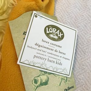 Pottery Barn Kids Matching Sets Lorax Costume 2t3t Nwt Poshmark